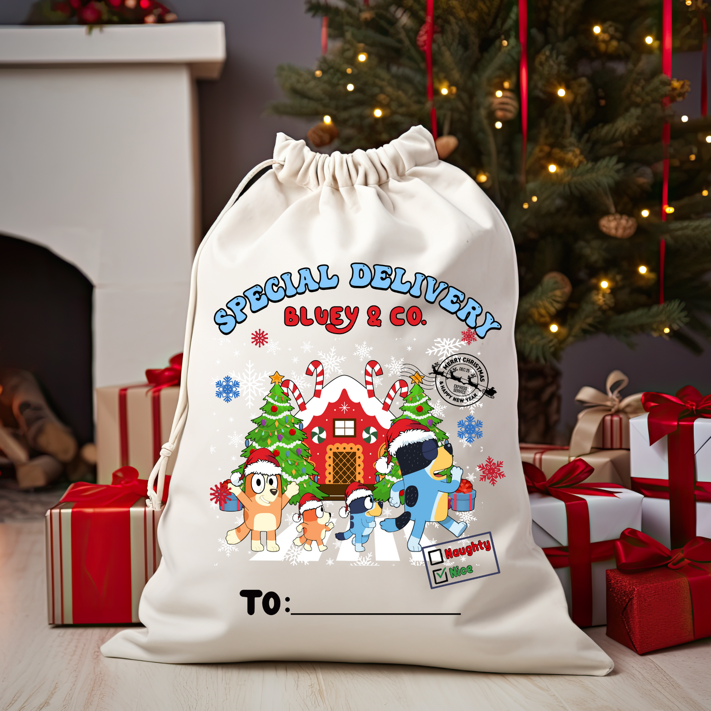 Complete Santa Bag