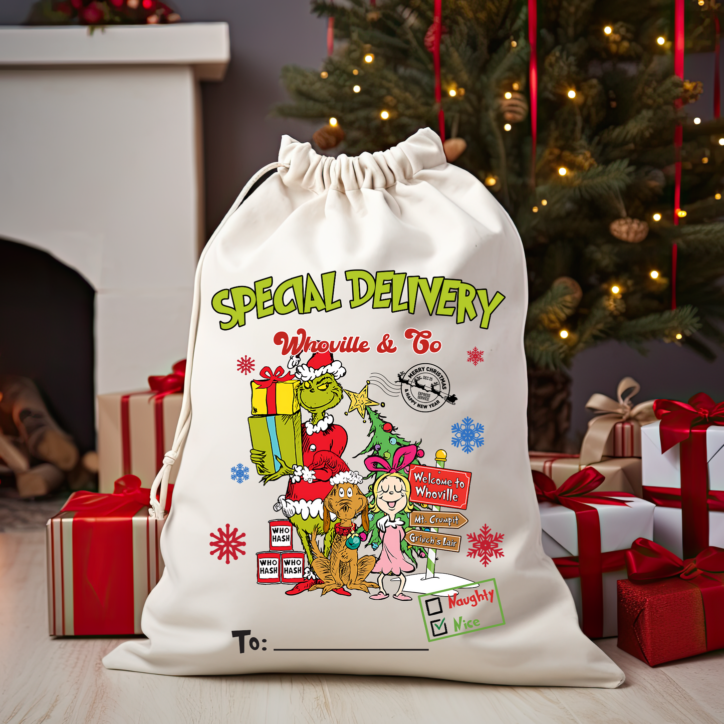 Complete Santa Bag